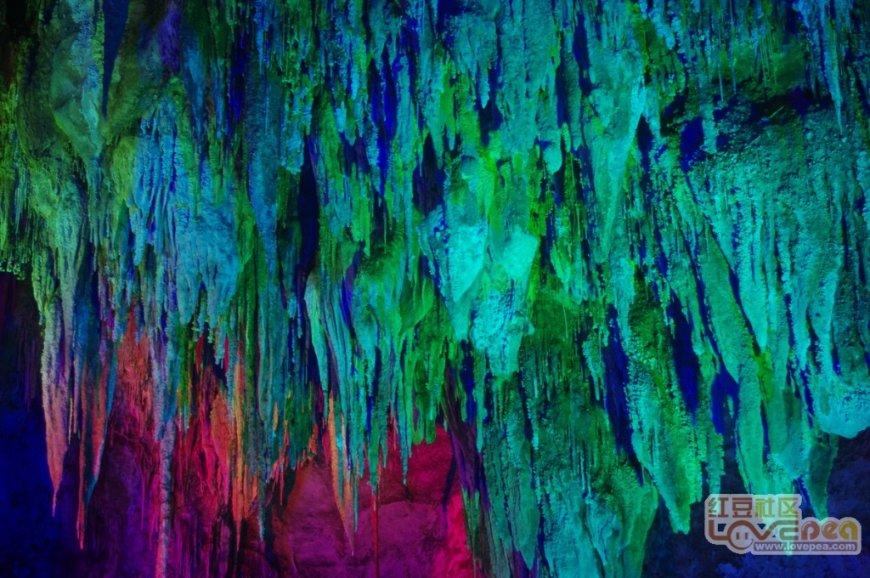新区多向发力 奋力跑好2024年经济发展“第一棒”